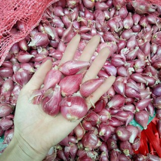 1kg hành tím Lý Sơn