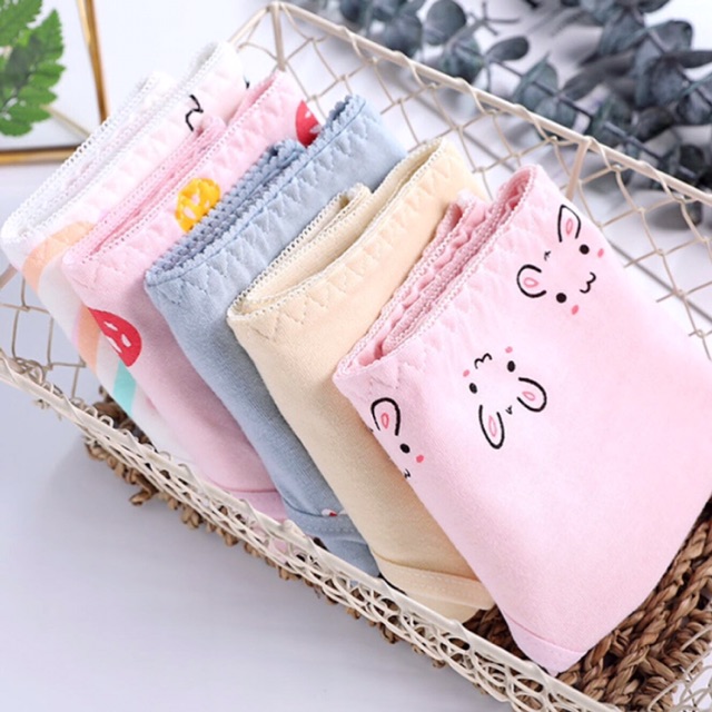 [RABBITS][ SIÊU HOT 2020] Set 5 Quần Chip Siêu Cute Phô Mai Que - Cotton Thun Co Dãn - Phù Hợp Với Da Nhạy Cảm -Sẵn Hàng