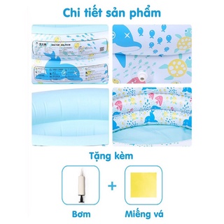 Bể bơi doctor dolphin chính hãng cao cấp cho bé - ảnh sản phẩm 8