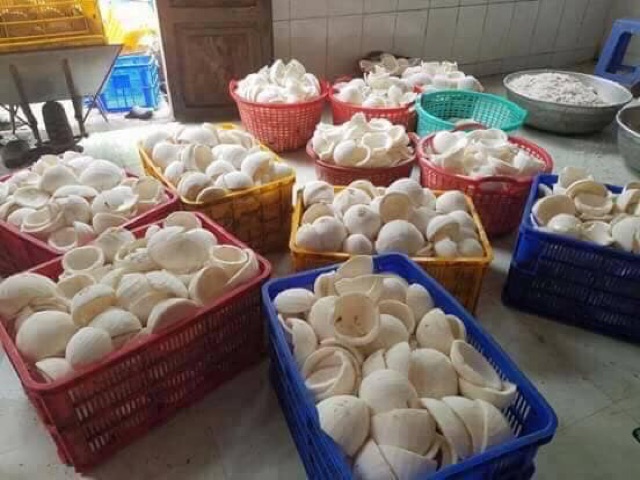 1 lọ dầu dừa bến tre nhỏ xinh thơm hơn kẹo dừa 50ml