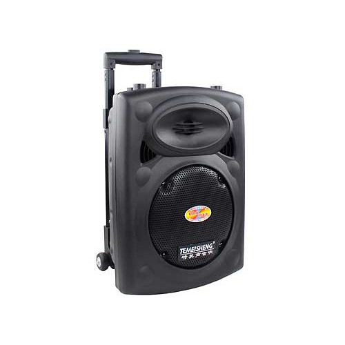 Loa Kéo Temeisheng DP-131L