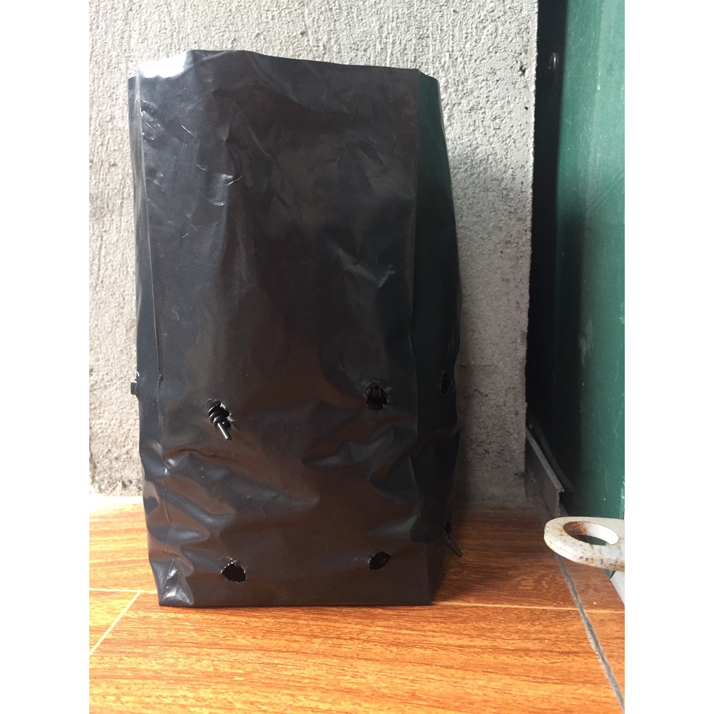 1KG TÚI ƯƠM CÂY MÃ 10*25 ( KÍCH RỄ, MẦM CÂY XANH LÁ, DỊCH TRUYỀN CHO CÂY, BẠT CỎ...)