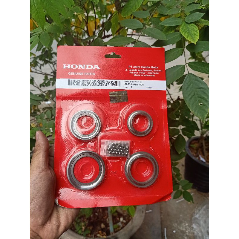 chén cổ winner v1 winnerX gtr