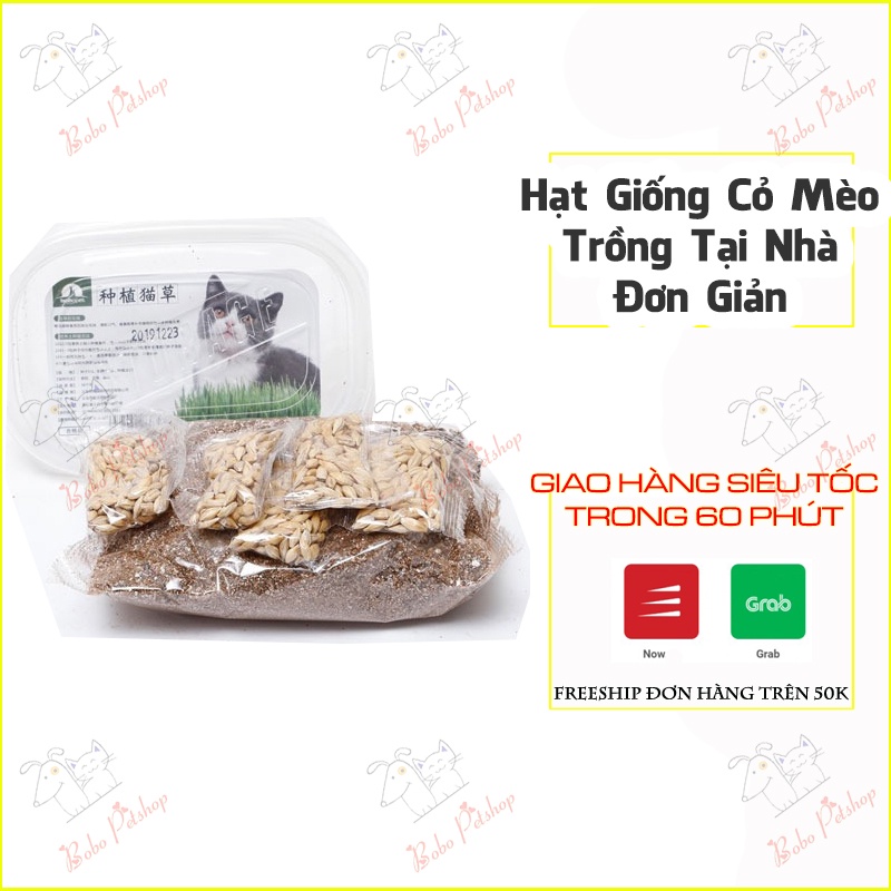 [ GIÁ HỦY DIỆT] Bộ trồng cỏ đơn giản tại nhà tránh búi lông tăng chất xơ cho mèo - Bơ Bơ Petshop Phụ kiện chó mèo Hà Nội