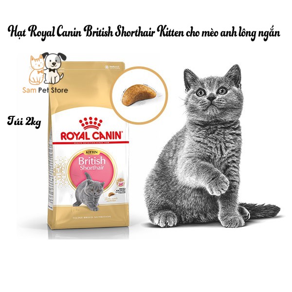 Thức ăn cho mèo con Royal Canin British Shorthair Kitten - chuyên mèo Anh lông ngắn 2kg