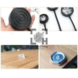 Đèn Led Kệ gỗ 5W - Đèn Led thủy sinh 5W