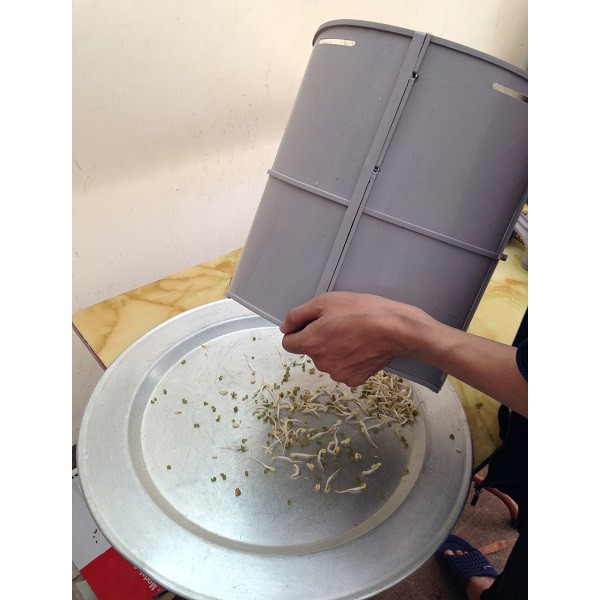 Thiết bị làm rau giá sạch đa năng Công nghiệp tự động