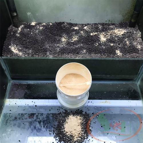 Vi Sinh Bột Min A-Q Bio 3 In 1 Setup Hồ