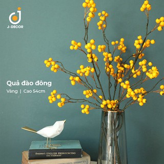 Cành quả đào đông