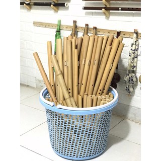 sáo mèo việt