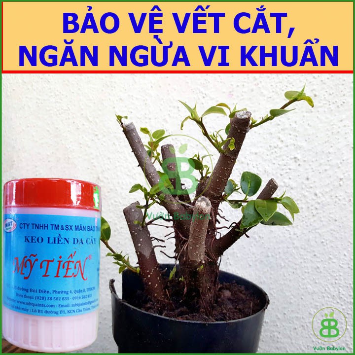 Keo Liền Da Cây - Keo Liền Sẹo Mỹ Tiến Lọ 225G