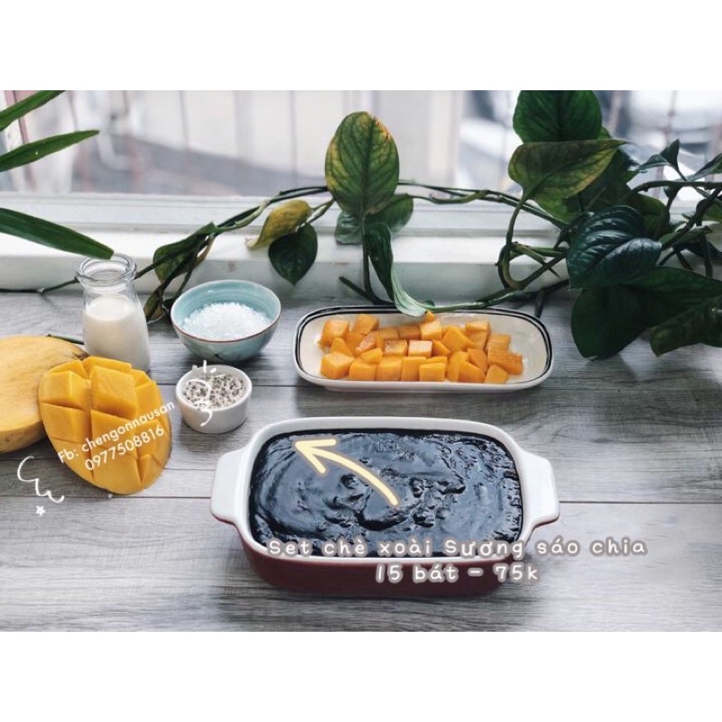 COMBO SET CHÈ XOÀI sương sáo HẠT CHIA 15 BÁT ĂN