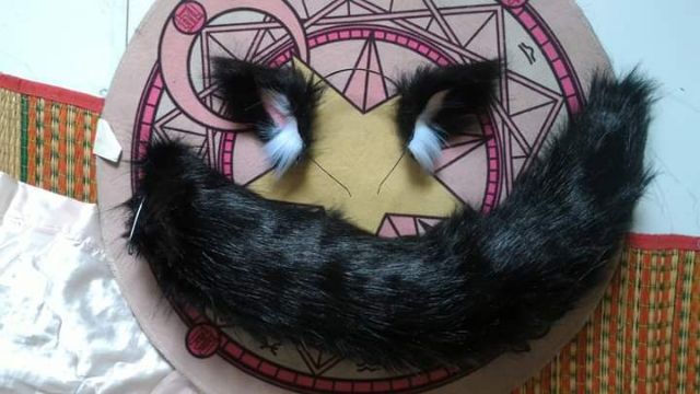 Tai cáo to loại đẹp và đuôi