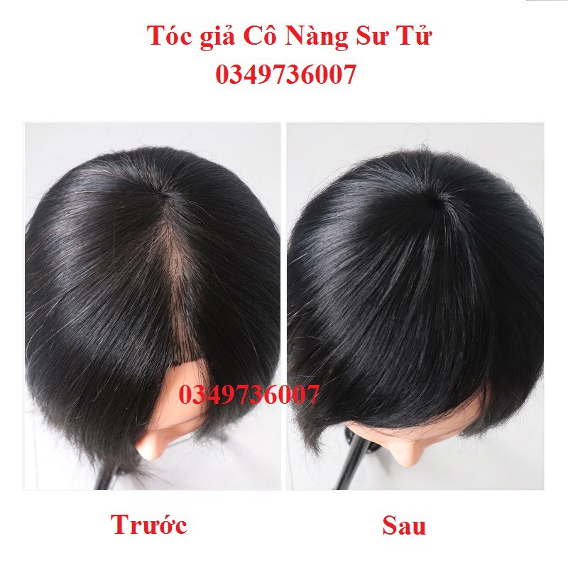 Tóc giả che hói, phủ bạc, làm dày tóc