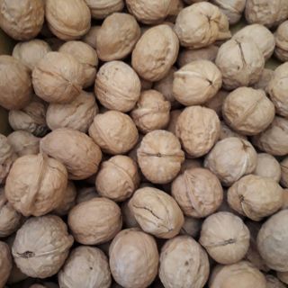 500g quả óc chó
