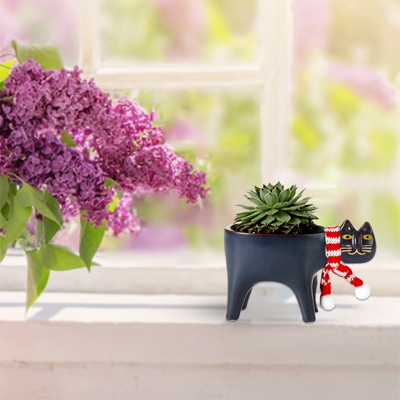 Chậu Trồng Cây Bằng Gốm Sứ Hình Mèo Hoạt Hình Có Lỗ Thoát Nước Trang Trí Nhà Cửa / Sân Vườn