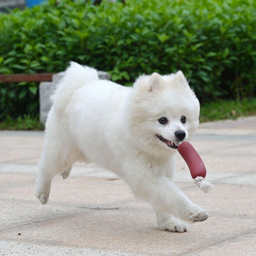 Danilo Đồ Chơi Ngậm Cắn An Toàn Đa Năng Bằng Silicone Dành Cho Cún Cưng