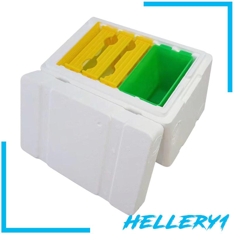 Hộp Nuôi Ong Chúa Breeding Queen Bee 1