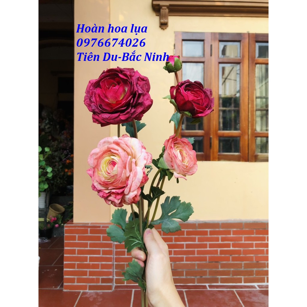 Hoa trà mao lương khô(Hoa giả) giống thật 99%, phù hợp trang trí nhà cửa phòng khách phòng ngủ