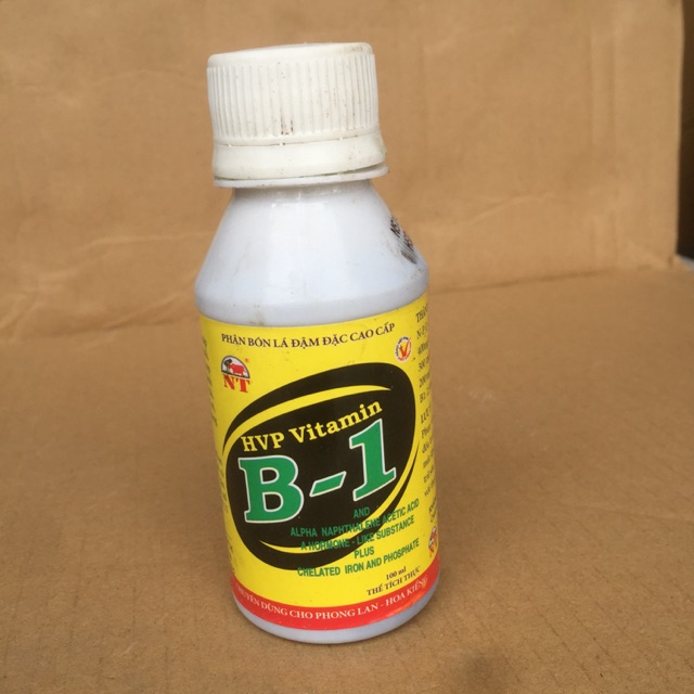 HVP Vitamin B-1 Thể tích 100ml