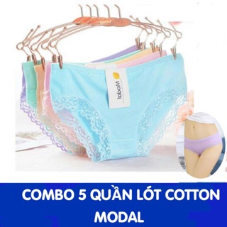 Combo 5 quần lót cotton pha ren Modal