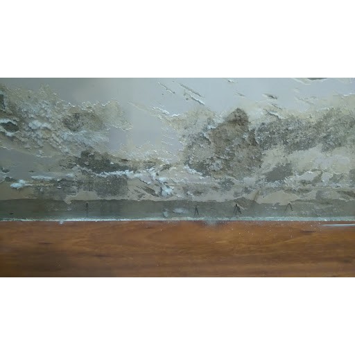 SOTIN CM01 - Xử lý triệt để sùi bông tuyết - Muối hoá chân tường