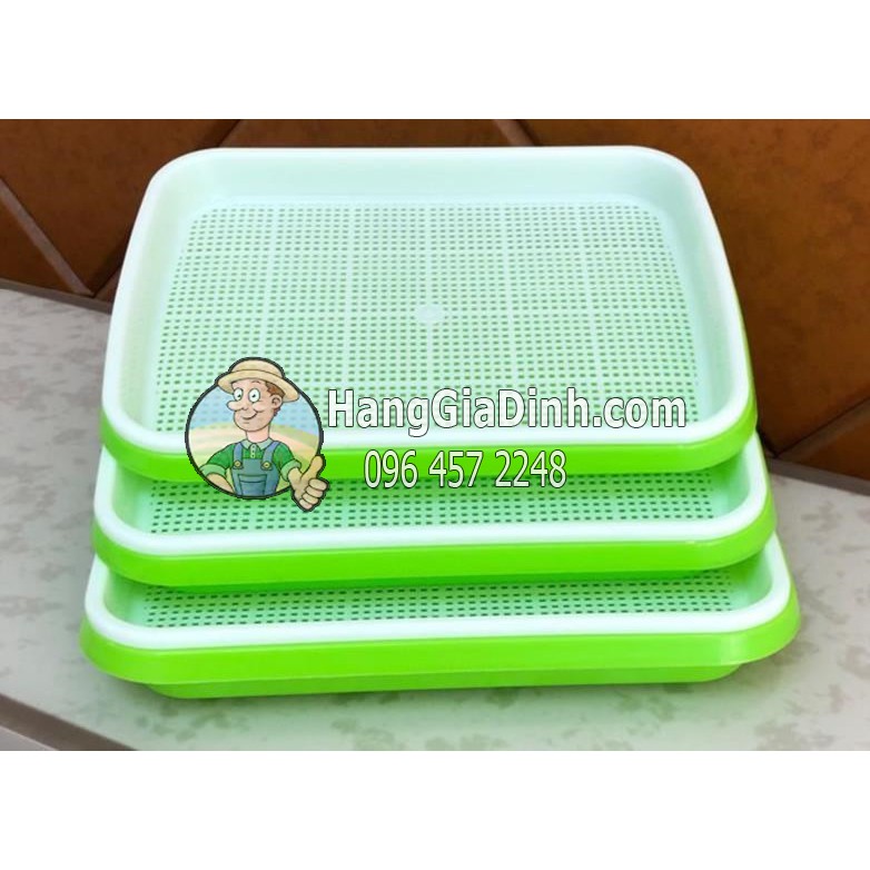 Bộ kệ trồng cỏ lúa mì và rau mầm 3 tầng 6 khay giá rẻ