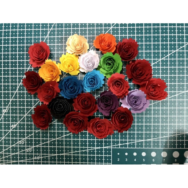 20 cánh hoa giấy cuốn
