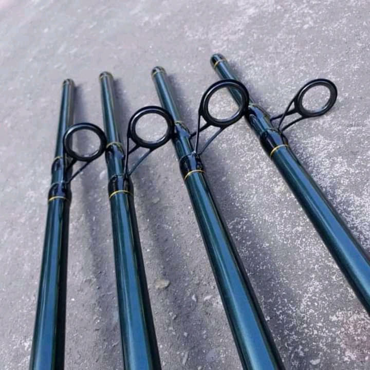 Cần câu 2 khúc daiwa 576, tải cá từ 8-12kg, cần rỗng
