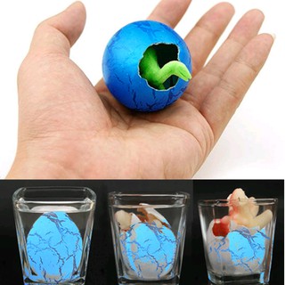 Trứng khủng long ngâm nước tự nở_có 2 size