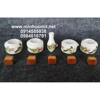 Cóng chim Khuyên Đất