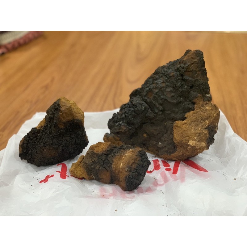 Nấm Chaga Siberia - Nga