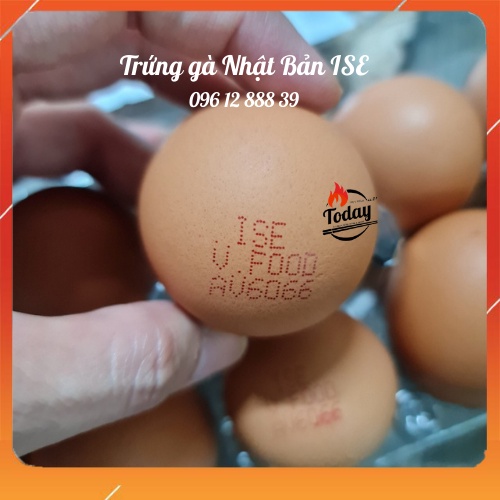 [CHỈ GIAO NỘI THÀNH HCM] Trứng Gà ăn sống Nhật Bản Ise cao cấp (10 quả/ hộp)