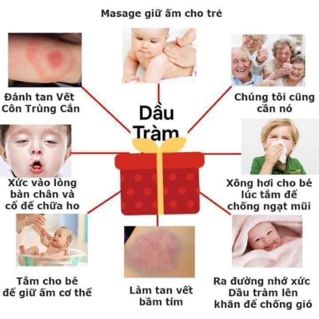 (SALE SỐC) MUA 4 LỌ TINH DẦU TRÀM 80ml TẶNG NGAY  1 LỌ 50ml