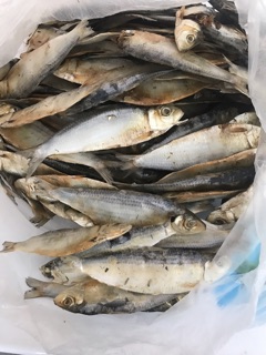 Cá Trích [1kg] KHÔ CÁ