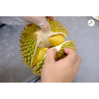 Sầu riêng ri 6