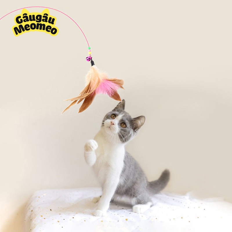 Đồ chơi cho mèo đuổi bắt Dây chuông vui nhộn