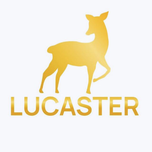 lucaster store