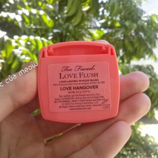 Phấn má Too faced màu Love hangover