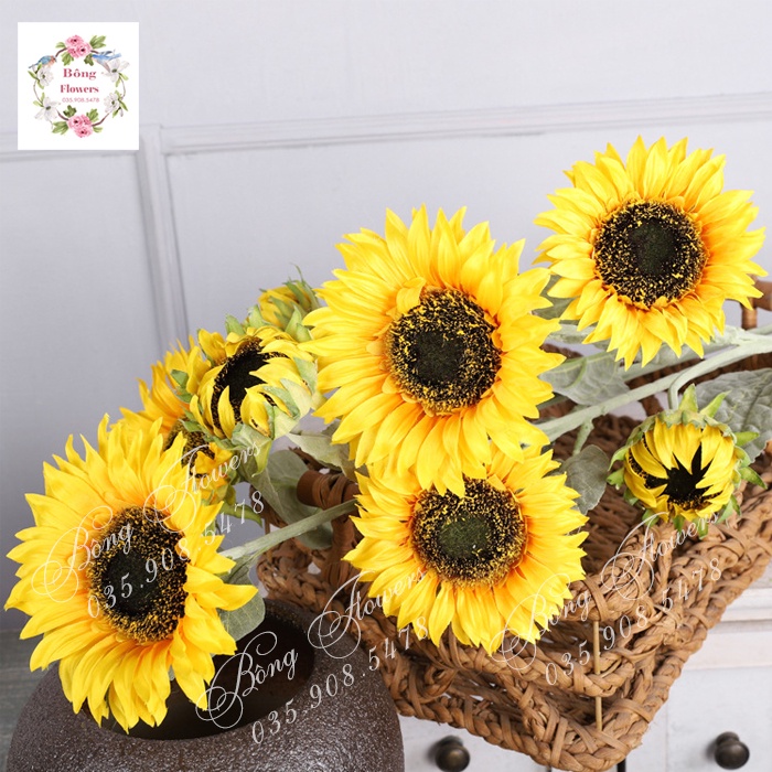 👉 Cành Hướng Dương Giả - Cành Hướng Dương Trang Trí