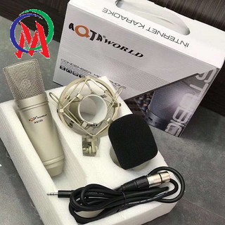 MIC THU ÂM AQTA AQ-100