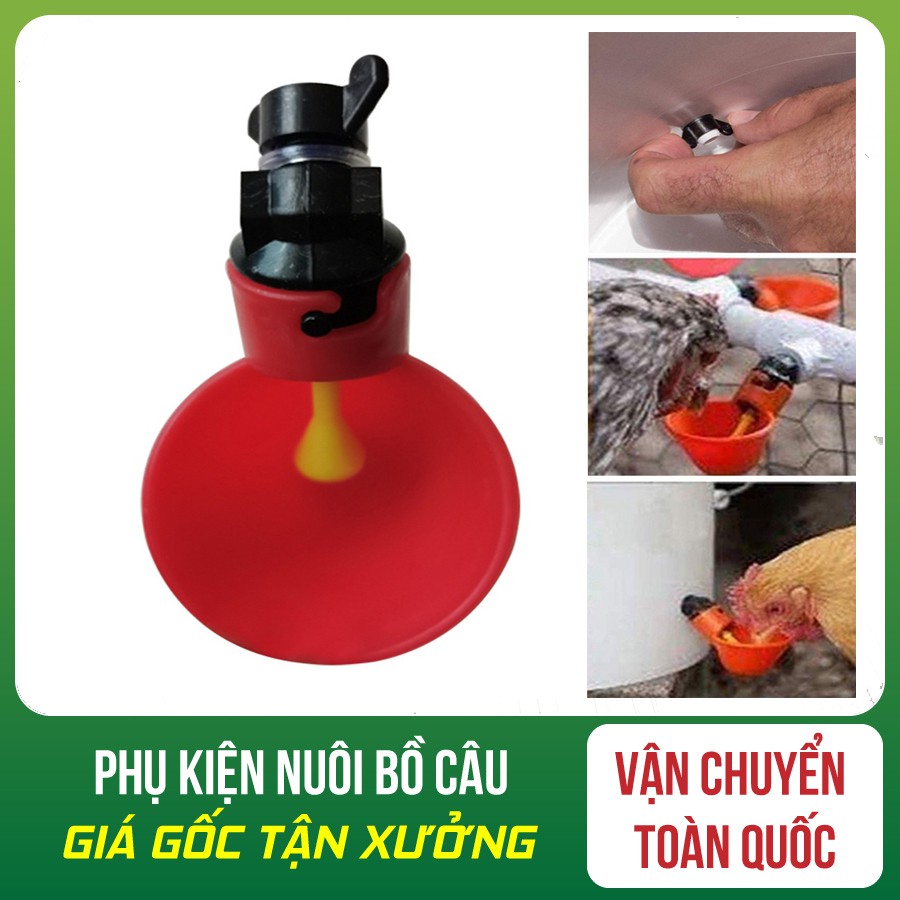 10 MÁNG UỐNG TỰ ĐỘNG CHO GÀ VỊT
