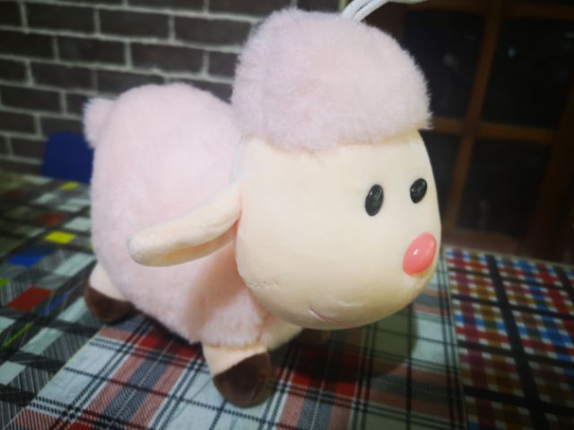 Cừu bông xinh xắn