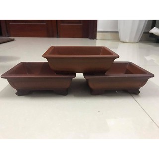 Chậu chữ nhật mini