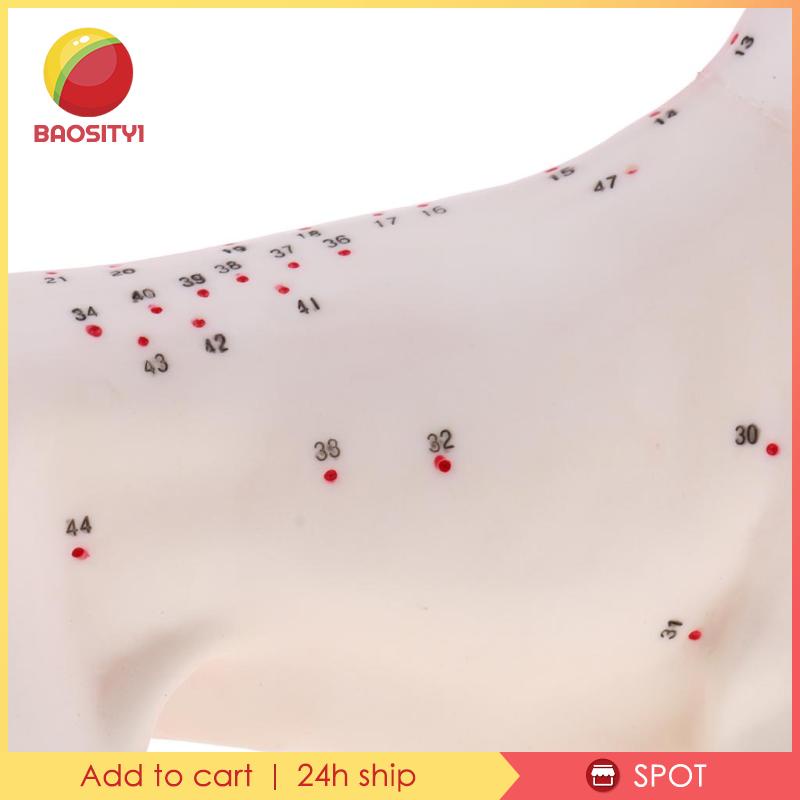 Bộ Dụng Cụ Học Tập Cho Cún Cưng [Baosity] [Baosity]