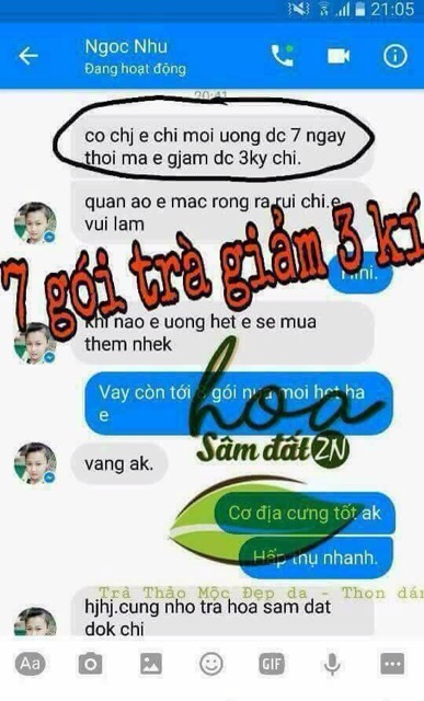 Cao lá rừng giảm mỡ bụng