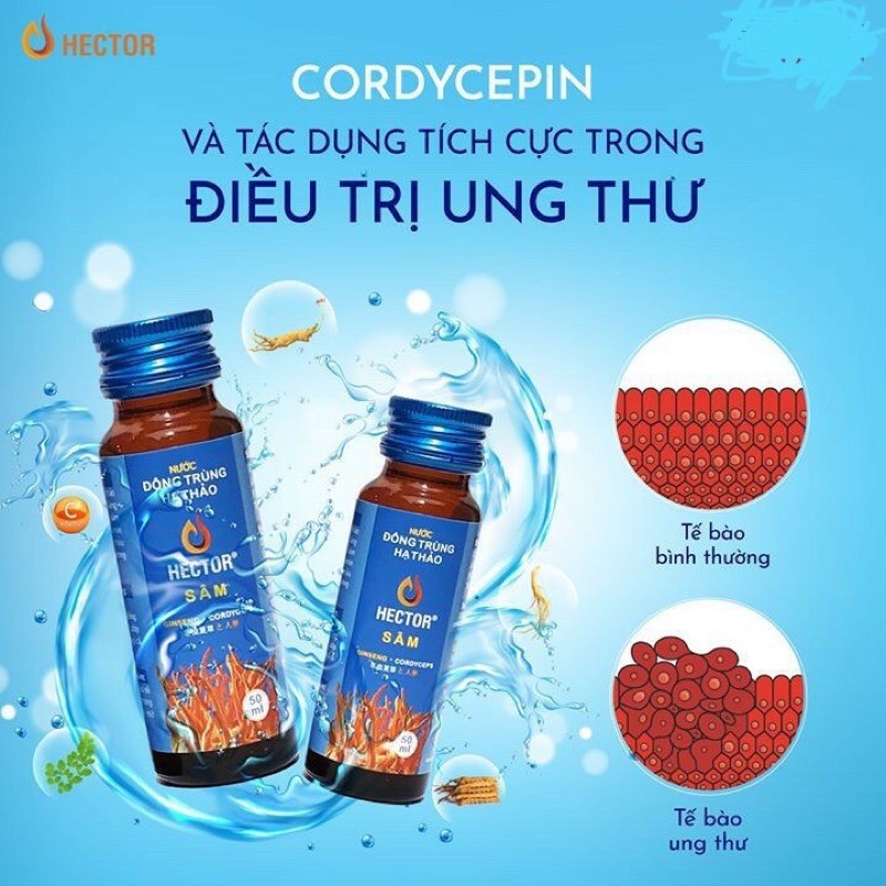 [ 1 chai x 50ml ] Nước uống Đông trùng hạ thảo HECTOR SÂM