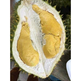 [Ship hỏa tốc tại HCM] Cơm sầu cấp đông nguyên chất -5kg