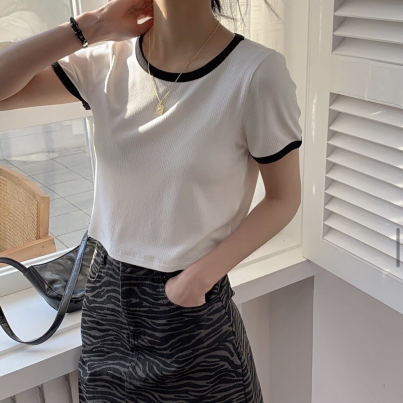 áo thun tăm viền cổ