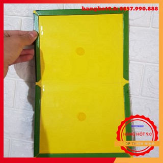 Combo 10 miếng dính chuột cao cấp